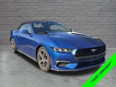 Used 2024 Ford Mustang Premium