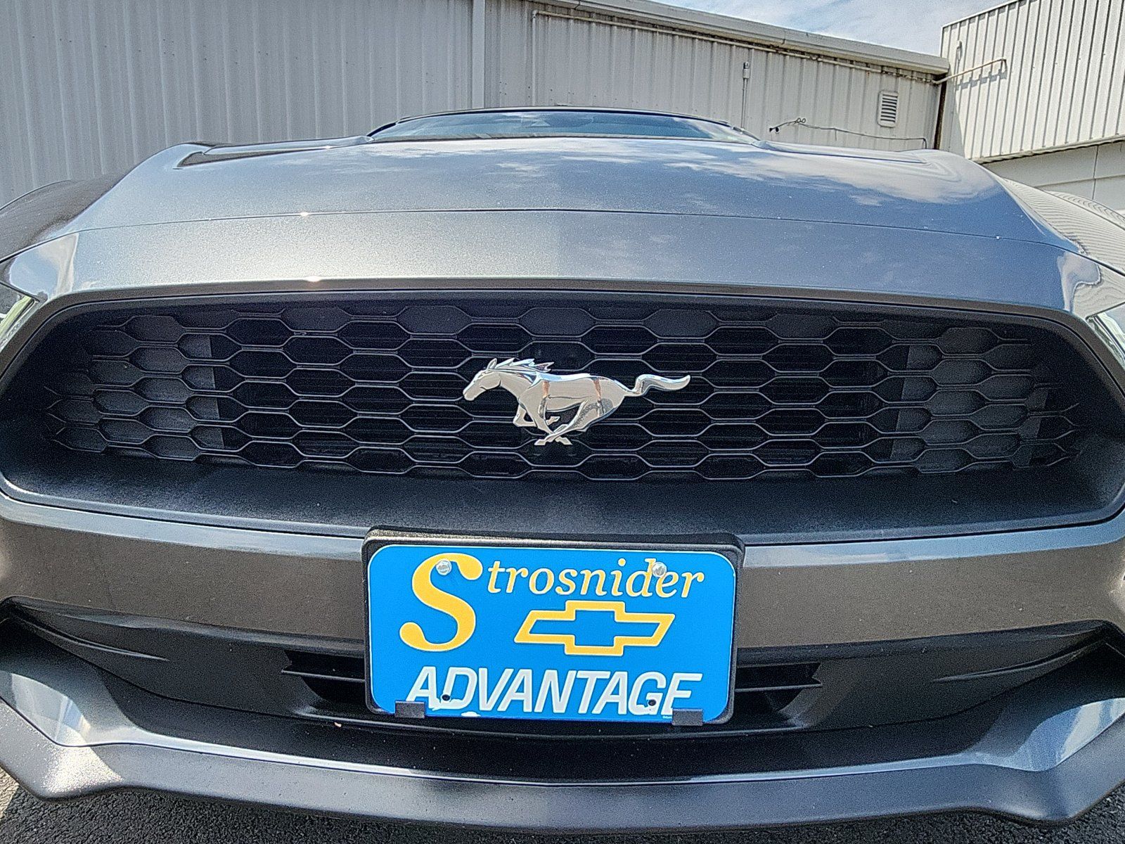 Used 2019 Ford Mustang Premium w/ Equipment Group 201A RWD image 14