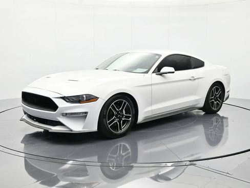 Used 2019 Ford Mustang Premium image 1