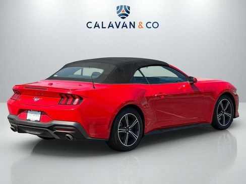 Used 2024 Ford Mustang Premium image 7