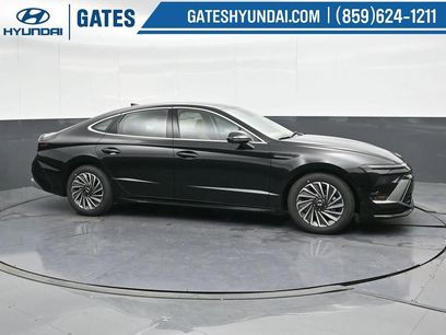 New 2025 Hyundai Sonata Limited