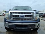 Used 2013 Ford F150 XLT w/ Luxury Equipment Group image 2