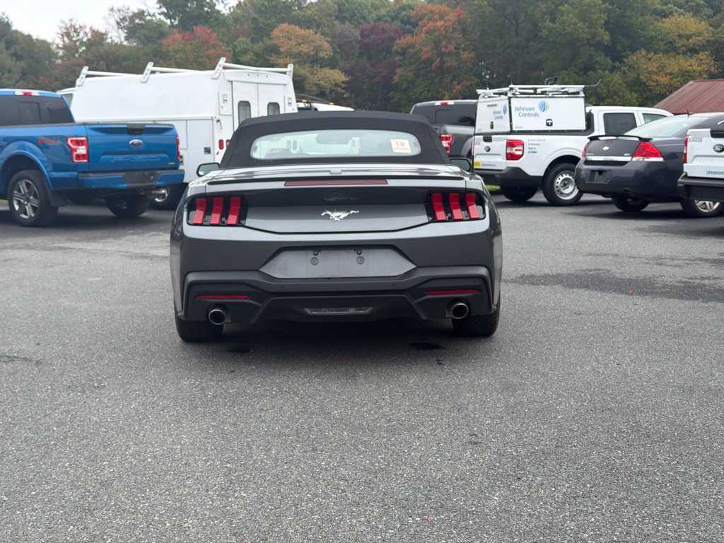 Used 2025 Ford Mustang Premium RWD image 7