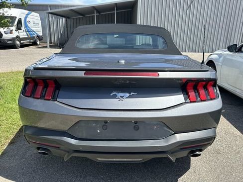 Used 2024 Ford Mustang Premium RWD image 4