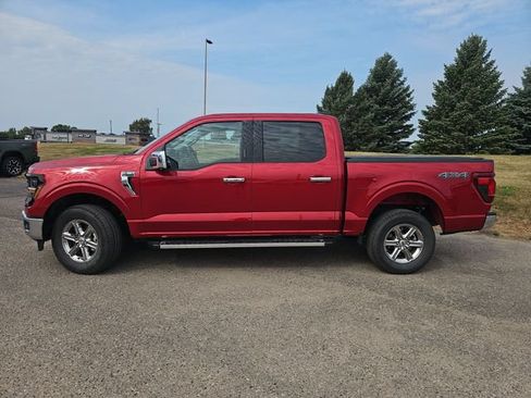 Used 2024 Ford F150 XLT w/ Equipment Group 302A MID AWD/4WD image 2
