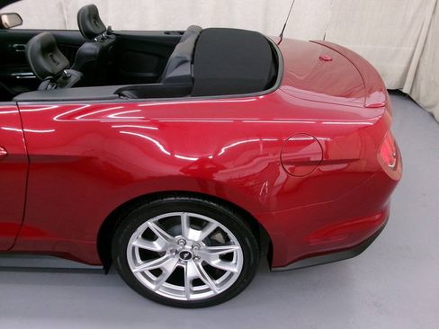 Used 2015 Ford Mustang Premium w/ Equipment Group 201A RWD image 7