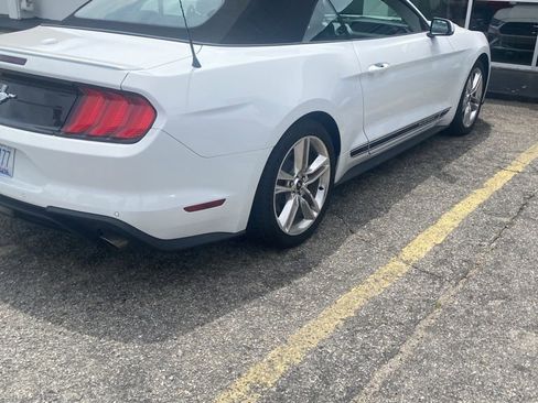 Used 2019 Ford Mustang Premium w/ Equipment Group 201A RWD image 3