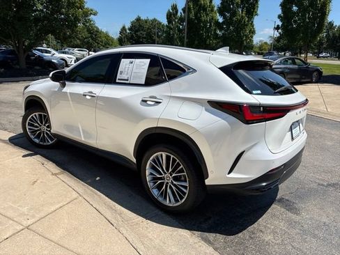 Used 2024 Lexus NX 350h AWD w/ Vision Package image 5
