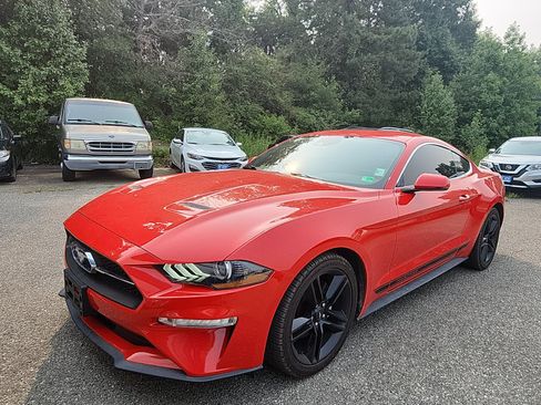 Used 2019 Ford Mustang Premium w/ Equipment Group 201A RWD image 1