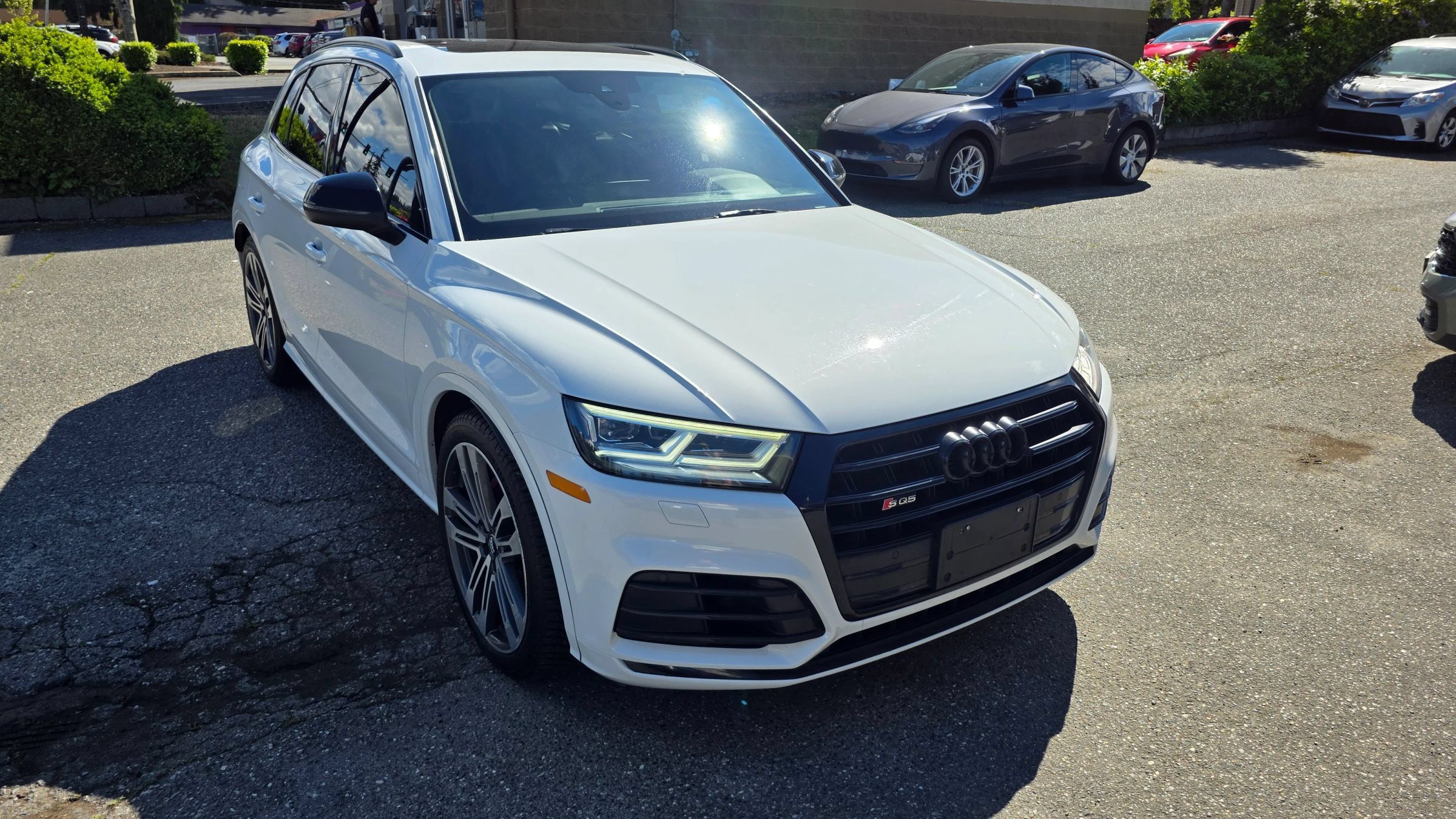 Used 2019 Audi SQ5 Premium Plus w/ Premium Plus Package AWD/4WD image 3