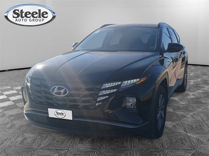 Used 2024 Hyundai Tucson Blue