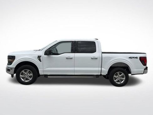 Used 2025 Ford F150 XLT w/ Equipment Group 301A Standard AWD/4WD image 2