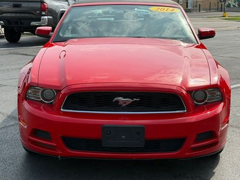 Used 2014 Ford Mustang Premium RWD image 5