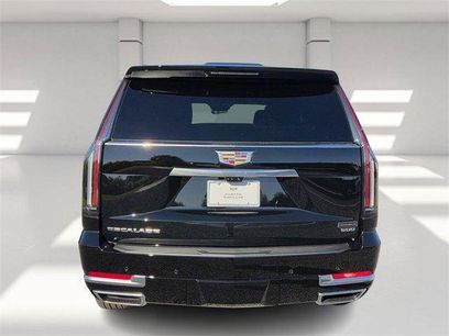 New 2026 Cadillac Escalade Luxury