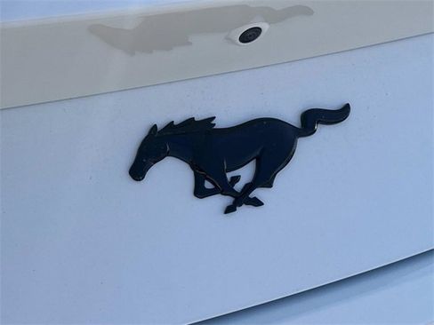 New 2026 Ford Mustang Premium w/ Mustang Nite Pony Package image 12