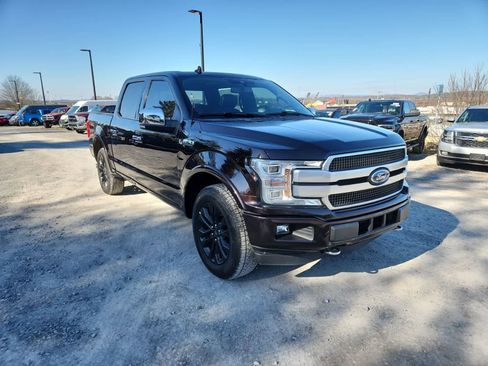 Used 2019 Ford F150 Platinum w/ Equipment Group 701A Luxury image 7