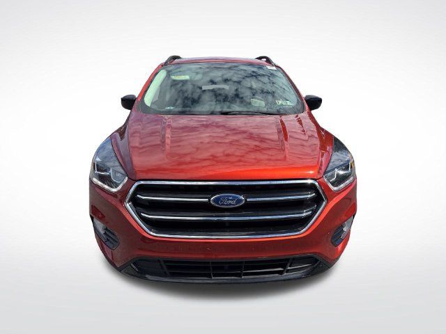 Used 2019 Ford Escape SE AWD/4WD image 8