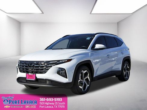 Used 2024 Hyundai Tucson Limited image 1