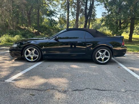 Used 2003 Ford Mustang Cobra RWD image 5