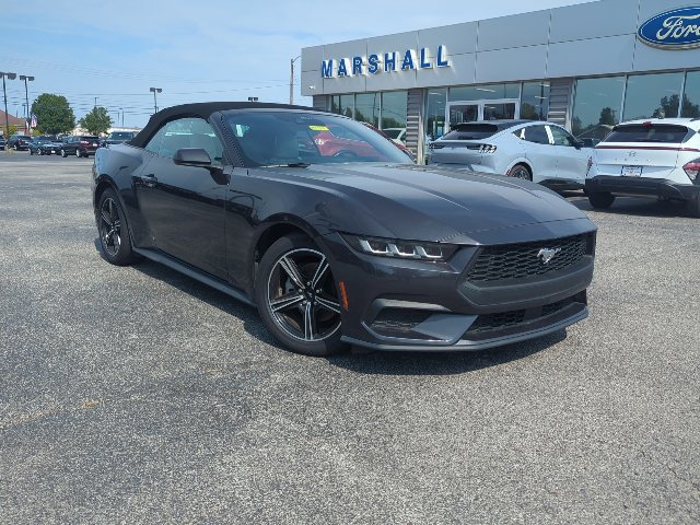 Used 2024 Ford Mustang Premium RWD image 3