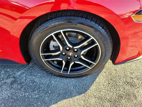 Used 2023 Ford Mustang Premium image 6