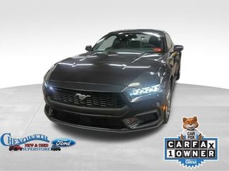 Used 2024 Ford Mustang Premium video 1