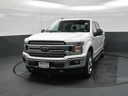 Used 2019 Ford F150 XLT w/ Equipment Group 302A Luxury AWD/4WD image 5
