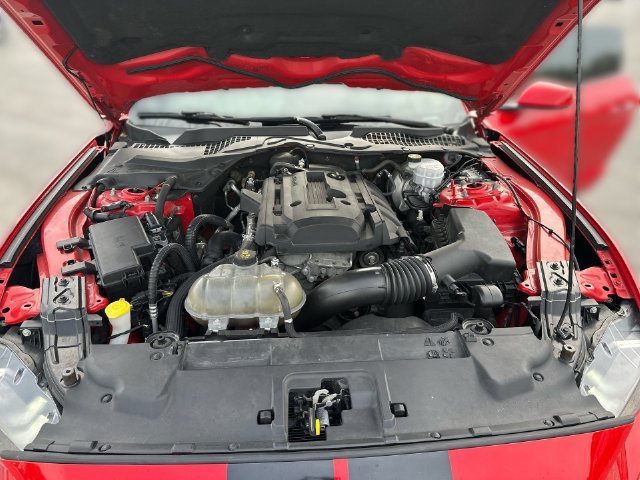 Used 2019 Ford Mustang Coupe RWD image 26