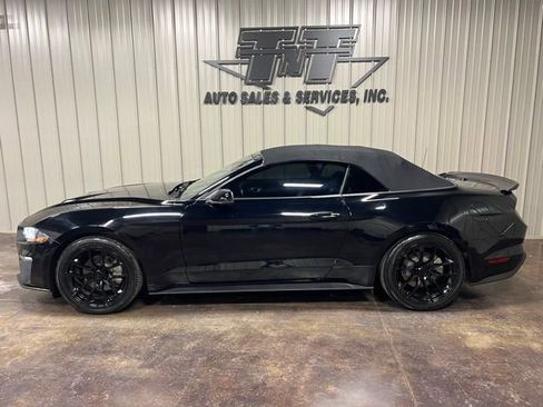 Used 2019 Ford Mustang Premium w/ Equipment Group 201A image 5