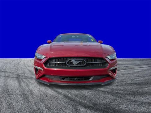 Used 2019 Ford Mustang Premium w/ Pony Package image 9