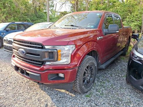 Used 2019 Ford F150 XLT w/ Equipment Group 302A Luxury AWD/4WD image 3