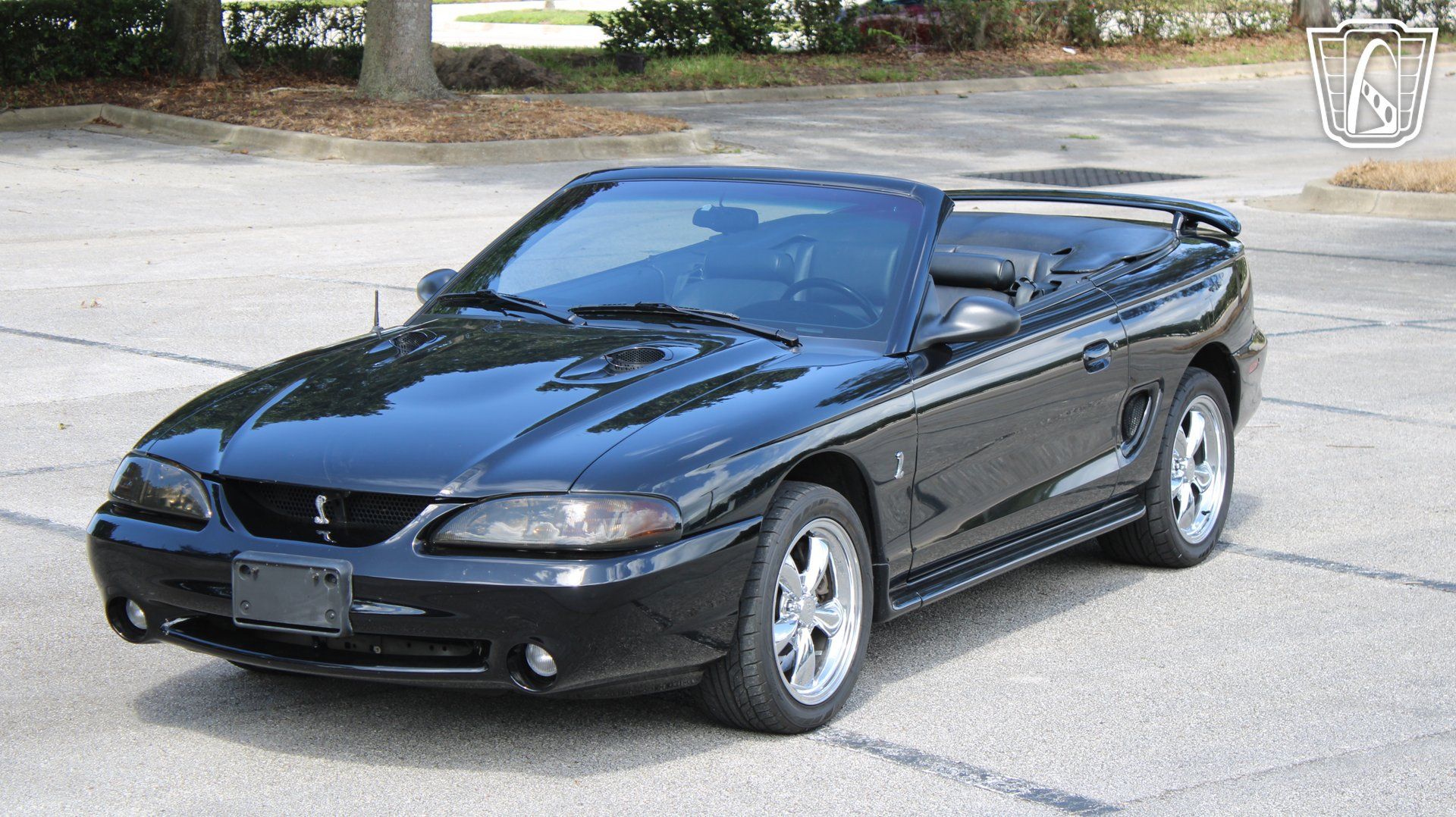 Used 1997 Ford Mustang Cobra RWD image 4