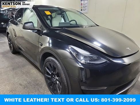 Used 2024 Tesla Model Y Long Range image 5