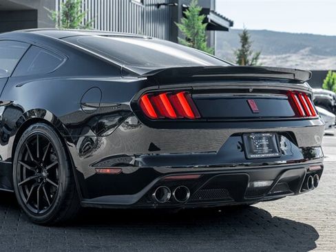 Used 2016 Ford Mustang Shelby GT350 RWD image 11