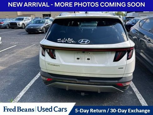 Used 2024 Hyundai Tucson Limited AWD/4WD image 10