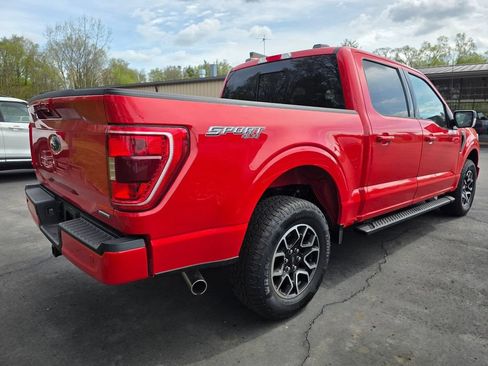 Used 2023 Ford F150 XLT w/ Equipment Group 302A High AWD/4WD image 6