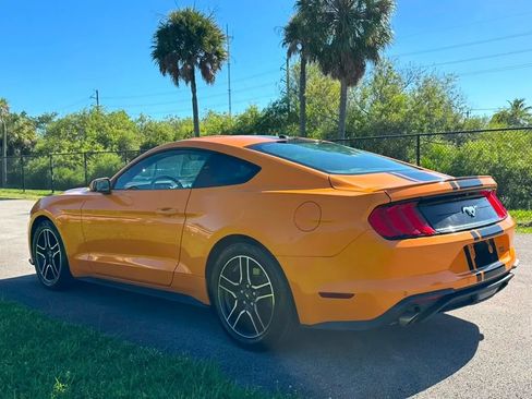 Used 2019 Ford Mustang Premium w/ Equipment Group 201A RWD image 5