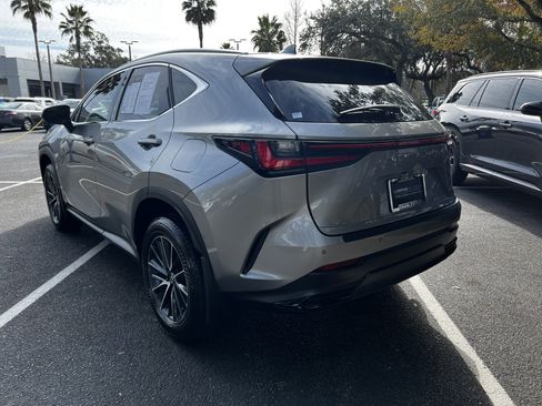 Certified 2024 Lexus NX 250 250 Premium image 7