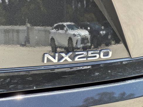 Certified 2024 Lexus NX 250 FWD w/ Cold Area Package image 28