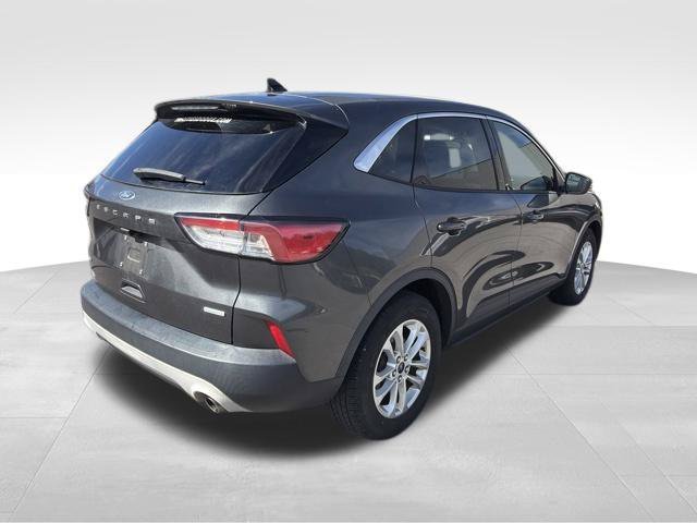 Used 2020 Ford Escape SE FWD image 4