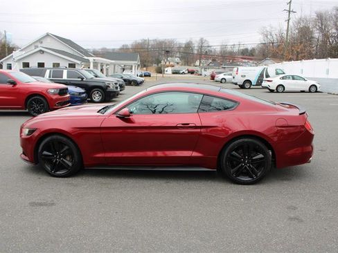 Used 2017 Ford Mustang Coupe w/ Ecoboost Performance Package image 5