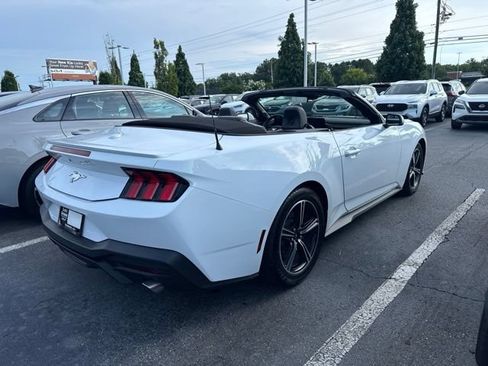 Used 2024 Ford Mustang Premium RWD image 4