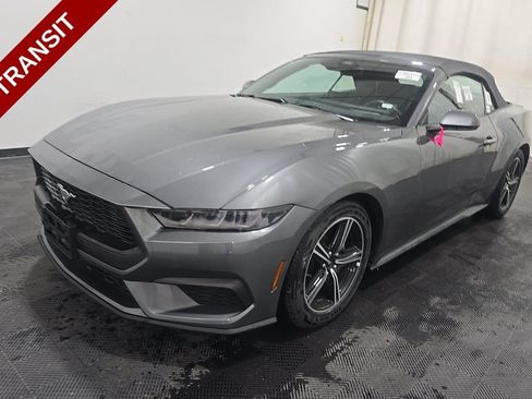 Used 2025 Ford Mustang Premium RWD image 1