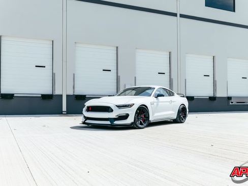 Used 2017 Ford Mustang Shelby GT350R w/ GT350R Equipment Group 920A RWD image 20