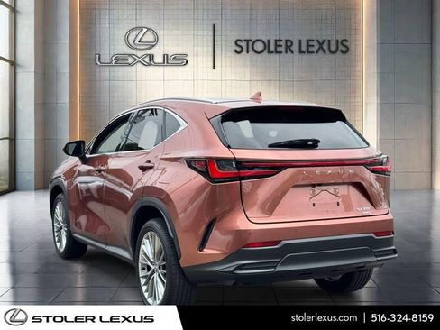 Used 2025 Lexus NX 350 AWD w/ Cold Area Package image 7