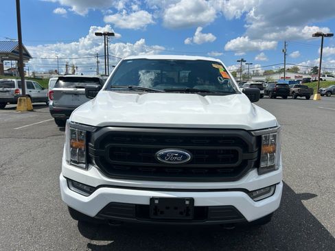 Used 2023 Ford F150 XLT w/ Equipment Group 302A High image 2