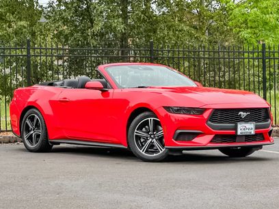 Used 2025 Ford Mustang Premium