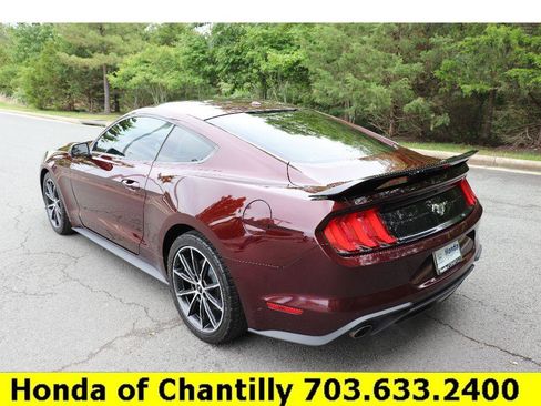 Used 2018 Ford Mustang Premium w/ Equipment Group 201A RWD image 5