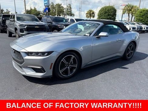 Used 2024 Ford Mustang Premium RWD image 3