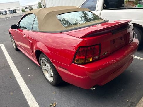Used 1999 Ford Mustang Cobra RWD image 8